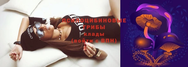 прущий лед Надым