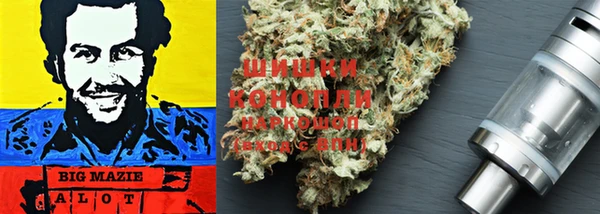 прущий лед Надым
