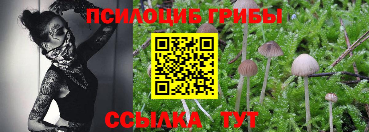 Галлюциногенные грибы MAGIC MUSHROOMS  Вход с VPN  как найти закладки  Канаш 